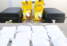 NDLEA Seizes Ephedrine, Skunk, Others at Lagos Airport, Arrests Cartel Members 4 InShot 20230903 234113205
