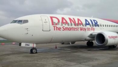 Dana Air