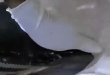 NDLEA Seizes US, Europe-bound Cocaine, Opioids Concealed in Shoe Soles in Lagos 2 IMG 20240714 135137