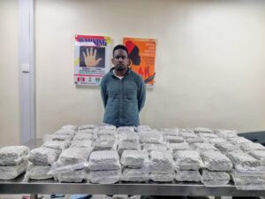 NDLEA Drug Seizure 