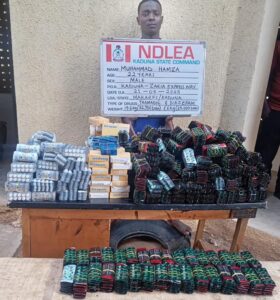 NDLEA 