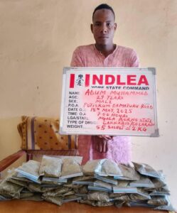 NDLEA 