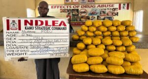 NDLEA 