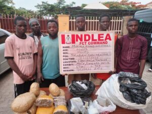 NDLEA 