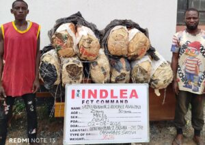 NDLEA FCT Arrest