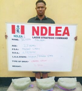 NDLEA Lagos Arrest