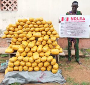 NDLEA Oyo Arrest