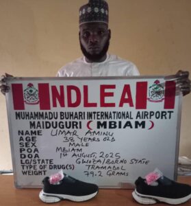 Maiduguri Airport Tramadol Bust