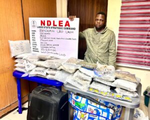 NDLEA Lagos Drug Bust