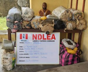 NDLEA Drug War