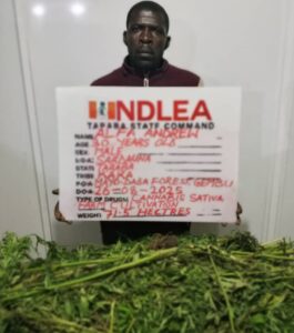 NDLEA Drug War