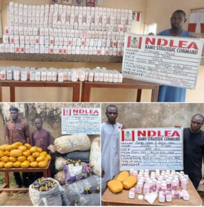 NDLEA Drug War