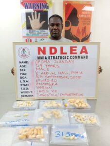 NDLEA Busts Cocaine, Heroin Trafficking Attempts at Lagos Airport 