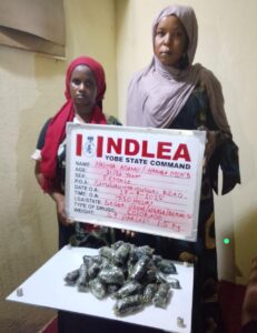 NDLEA Arrests Drug Traffickers in Yobe