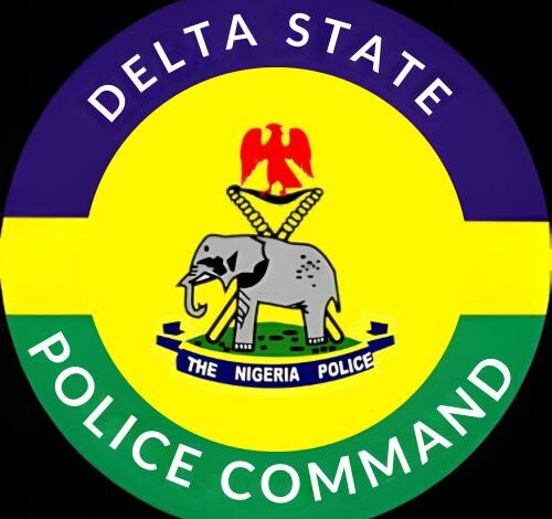 Delta Police Secure Conviction of 16 for Vandalising Govt Property, Drug Possession 1 IMG 20251219 WA0087