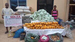 NDLEA Busts Cross-Border Drug Syndicate, Seizes 1.6m Tramadol Pills 10 IMG 20260719 WA0040