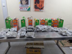 NDLEA Busts Cross-Border Drug Syndicate, Seizes 1.6m Tramadol Pills 7 IMG 20260719 WA0041