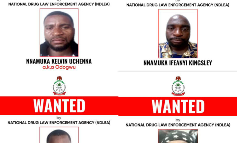 NDLEA Declares Drug Kingpin, 3 Associates Wanted, Freezes N9.8bn, Seizes Multi-Billion-Naira Assets 1 InShot 20260717 102156754 1