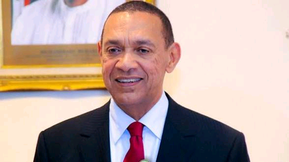 Murray-Bruce Urges Tinubu to Overhaul Power Sector, Proposes Community-Based Electricity System 1 935cb5bd03e8e9e8558c217d4685866b