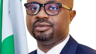 Dr. Olubunmi Tunji Ojo 696x740 1