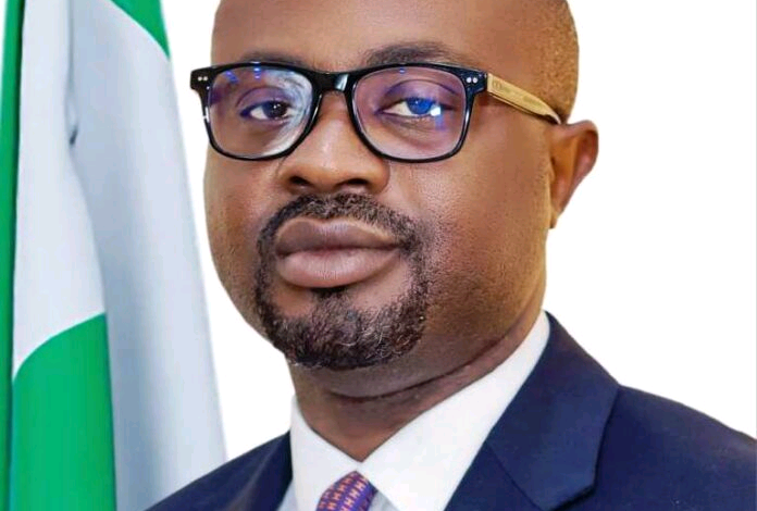 Interior Minister Orders NIS Passport Intervention Team Deployment to UK 1 Dr. Olubunmi Tunji Ojo 696x740 1