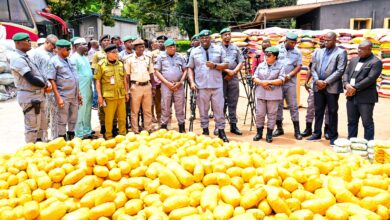 Ogun I Customs Hands Over 32,412 Parcels, 92 Sacks of Cannabis to NDLEA in 7 Months 8 IMG 20260814 WA0023