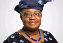 IMG 0119