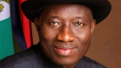 Ex-President Jonathan Warns Against Governors, Political Leaders 'Descending' on States During Elections 1 IMG 20221120 100822