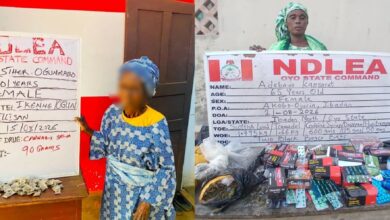 NDLEA Arrests 101-Year-Old, 65-Year-Old Women for Drug-Related Offences 14 InShot 20260823 1111277392