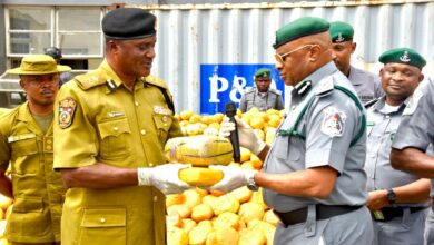 Customs FOU A Hands Over ₦3.95bn Cannabis, Tramadol, Mercury Seizures to NDLEA, NESREA 2 IMG 20260903 WA0039