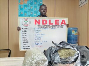 NDLEA Intercepts Illicit Drugs Hidden in Speakers, Bread, Arrests Grandmother, Real Estate Agent 11 IMG 20260913 WA0014