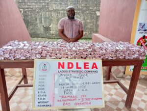 NDLEA Seizes N3.4bn Opioids, Cannabis, Arrests Fake Police Officer, Mechanic in Nationwide Raids 12 IMG 20260920 WA0007