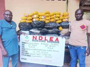 NDLEA Seizes N3.4bn Opioids, Cannabis, Arrests Fake Police Officer, Mechanic in Nationwide Raids 9 IMG 20260920 WA0018