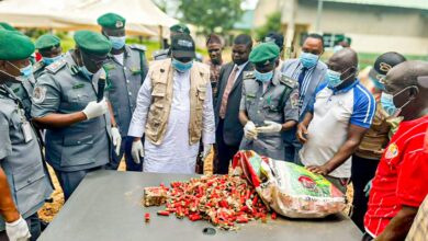 Niger/Kogi Customs Hands Over 189,000 Seized Cartridges to NCCSALW 7 IMG 20260904 161711