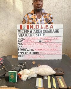 NDLEA Arrests Cocaine Trafficker, Recovers 2 Million Opioid Pills, Other Illicit Substances in 9 States 23 IMG 20260906 163152