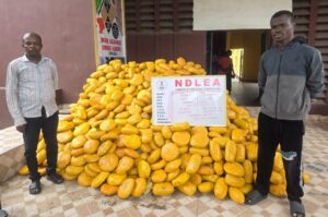 NDLEA Arrests Cocaine Trafficker, Recovers 2 Million Opioid Pills, Other Illicit Substances in 9 States 26 IMG 20260906 163549