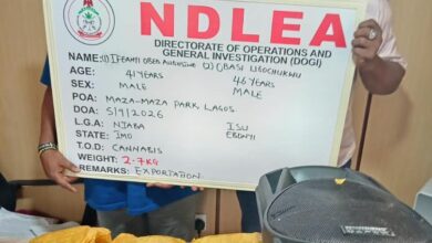 NDLEA Intercepts Illicit Drugs Hidden in Speakers, Bread, Arrests Grandmother, Real Estate Agent 2 IMG 20260913 122401