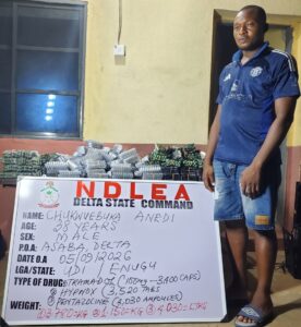 NDLEA Intercepts Illicit Drugs Hidden in Speakers, Bread, Arrests Grandmother, Real Estate Agent 12 IMG 20260913 130153
