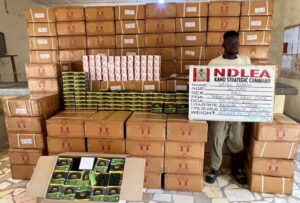 NDLEA Intercepts Illicit Drugs Hidden in Speakers, Bread, Arrests Grandmother, Real Estate Agent 13 IMG 20260913 130312