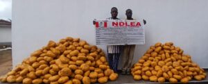 Newlywed Excretes Cocaine as NDLEA Intercepts Opioids Worth ₦3bn at Lagos Airport 12 IMG 20260927 122659