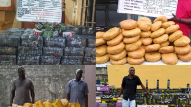NDLEA Seizes N3.4bn Opioids, Cannabis, Arrests Fake Police Officer, Mechanic in Nationwide Raids 1 InShot 20260920 1146245632
