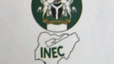 INEC Faces Backlash Over Alleged AI Voter Register 3 496f2a87d1c5a99c1da9d200d2c1d6b0