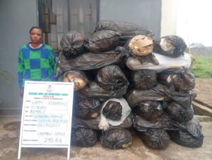 NDLEA Arrests S. African Woman with Thai Loud at P. Harcourt Airport, Seizes Drugs from Pakistan, UK in Lagos 14 IMG 20261011 WA0007