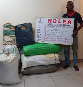 NDLEA Arrests S. African Woman with Thai Loud at P. Harcourt Airport, Seizes Drugs from Pakistan, UK in Lagos 17 IMG 20261011 WA00082