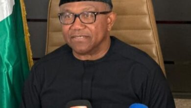 Nigeria at 66: Obi Decries Poverty, Insecurity, Hunger, Unemployment, Calls for Honest Reflection 4 IMG 20261001 211814