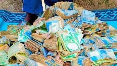Kano: Kidnap Victim Freed as Hunters Neutralise Two Suspected Bandits, Recover ₦10m Ransom 1 IMG 20261017 204835